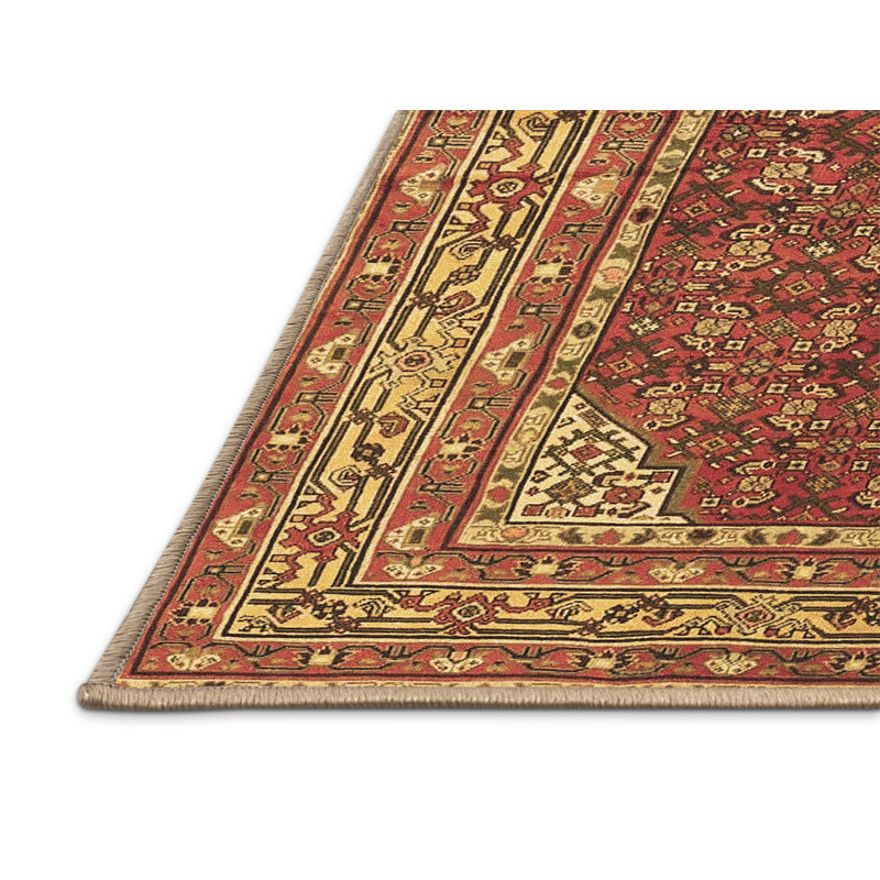 Tapis brun traditionnel Traditional 4483, Rectangle 2 pi x 3 pi