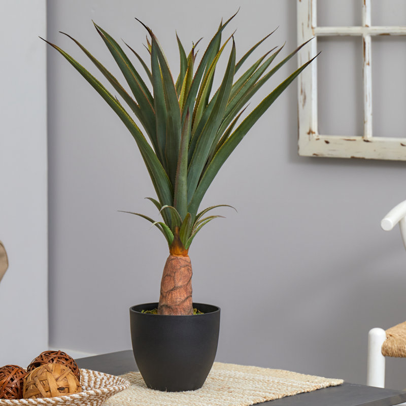 Plante agave artificielle en pot