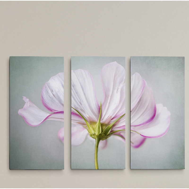 3 - Pieces, 24" H x 36" W x 1.5" D