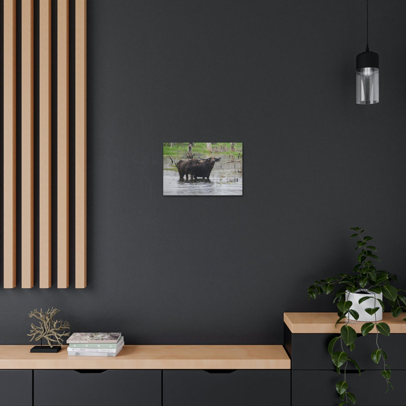 No Frame Print on Canvas, 12cm H x 16cm W