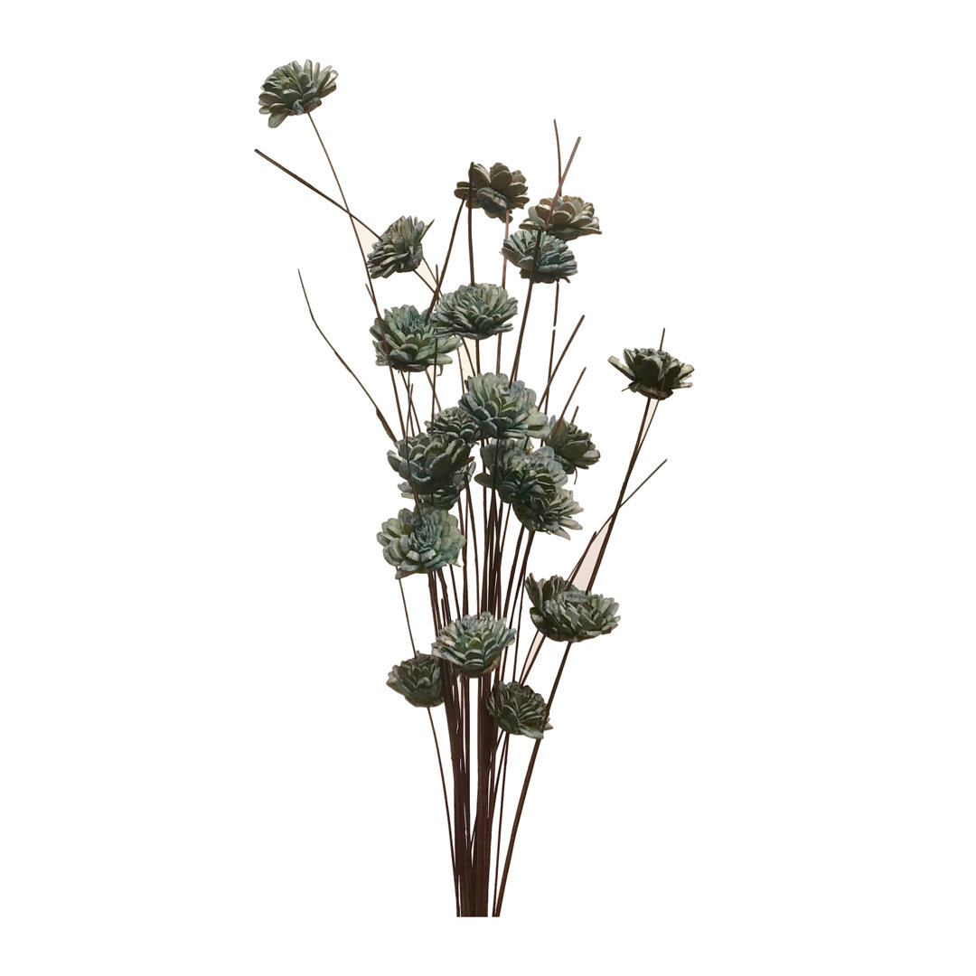 Ting Zinnia Stem Primrue Flower 