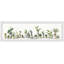 «Splendid Succulents», reproduction encadrée-1269459823