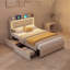 Upholstered Bed-802804119
