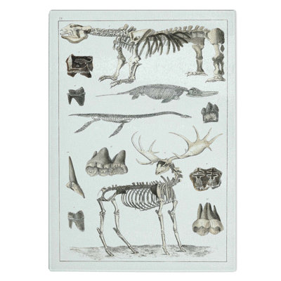 Tempered Glass Animal Bones IV Chopping Board
