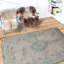 Fading World Oriental Area Rug-21684966