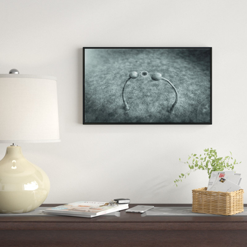 «Fungus on Leather Surface», reproduction d'impression sur toile, H 16 po x l 32 po x P 1 po