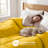 All-Season Reversible Down Alternative 100% Microfiber Comforter-1225865305-1225865310
