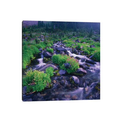 Paradise River With Wildflowers, Mount Rainier National Park, Washington by Tim Fitzharris - Gallery-Wrapped Canvas Giclée on Canvas