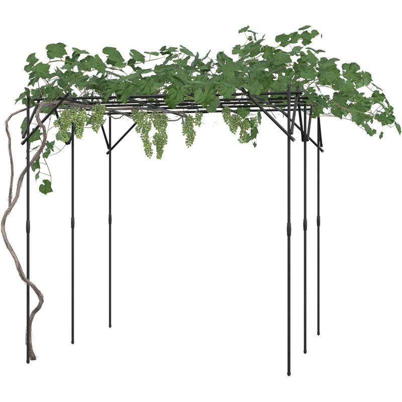 Garden Arch Trellis for Climbing Plants, Metal Arched Arbour