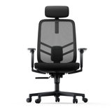 Schwarz Ergonomisch Schreibtischstuhl mit Verstellbarer Lordosenstütze Höhenverstellung