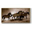 Chevaux sauvages - Toile tendue avec châssis, prête à être accrochée-884597720-884597721