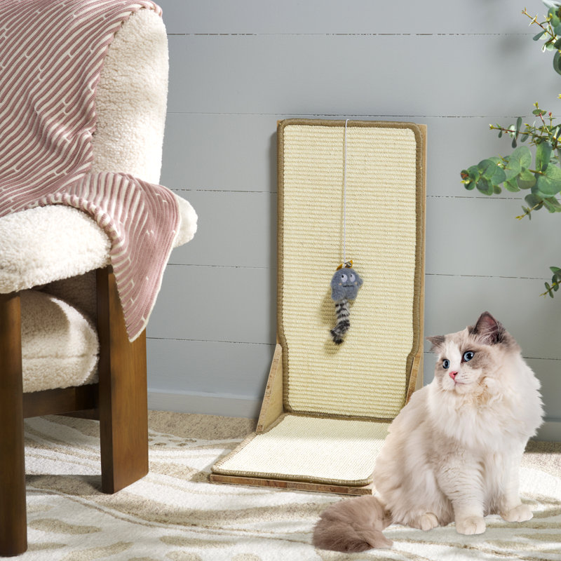 Jouet pour chat