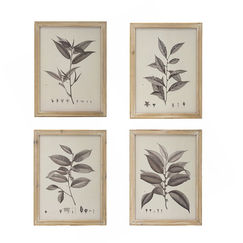 Ensemble de décorations murales botaniques 15,7 x 20,7 po pour la maison, le salon, la salle à manger, la chambre à coucher, le couloir, ensemble de 4
