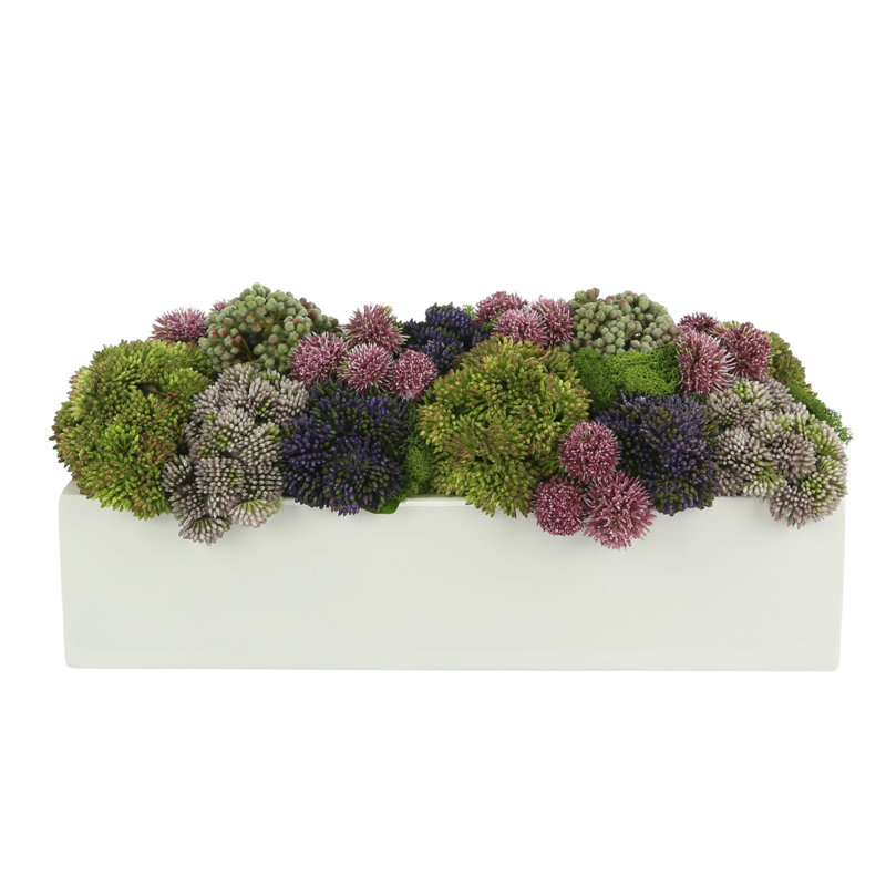 Succulent Sedum in Fiberstone Planter, 8" H x 18" W x 10" D, Rectangular
