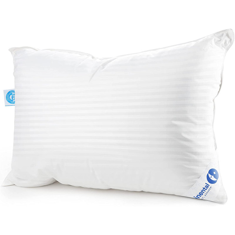 Alwyn Home 700FP Down Pillow, 1-Pack, Available in Plush, Medium, Firm, Premium Down, 400TC Cotton Cover, Queen, Firm