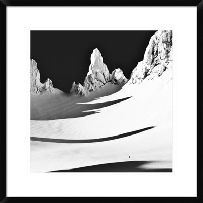 Contrast Print by Thom Filicia