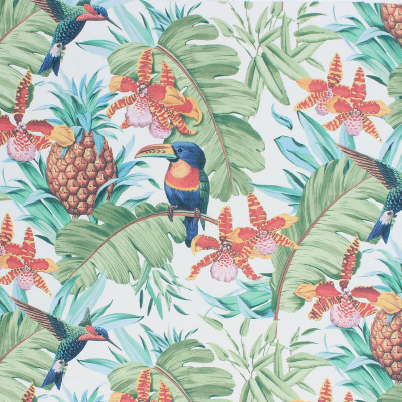 Tissu perroquet Suite, Hope
