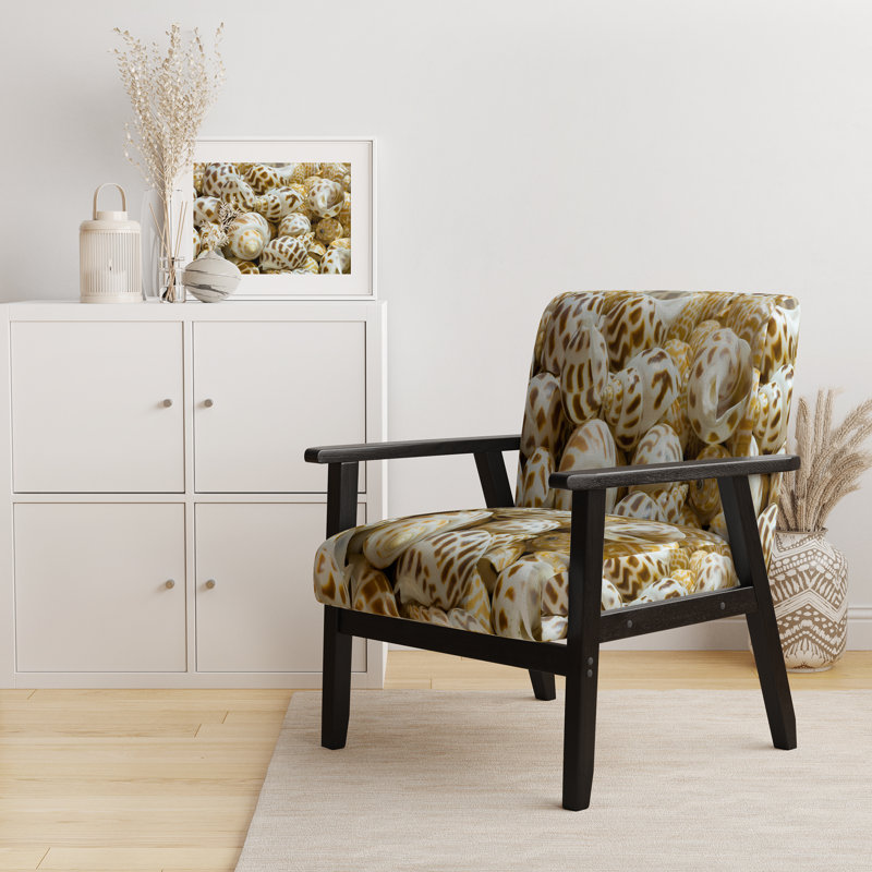 Gros plan sur un coquillage - Photo d'appoint rembourrée nautique et côtière et fauteuil