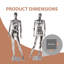 Mannequin femme Kinfant Silver