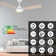Sreekar 52'' Smart Ceiling Fan With Remote, Light Kit Included, Works With Google Assistant And Amazon Alexa,Siri Shortcut.