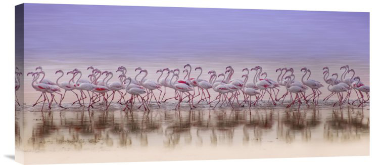 " Comrades In Color " by Ahmed Thabet, 10" H x 22" W x 1.5" D