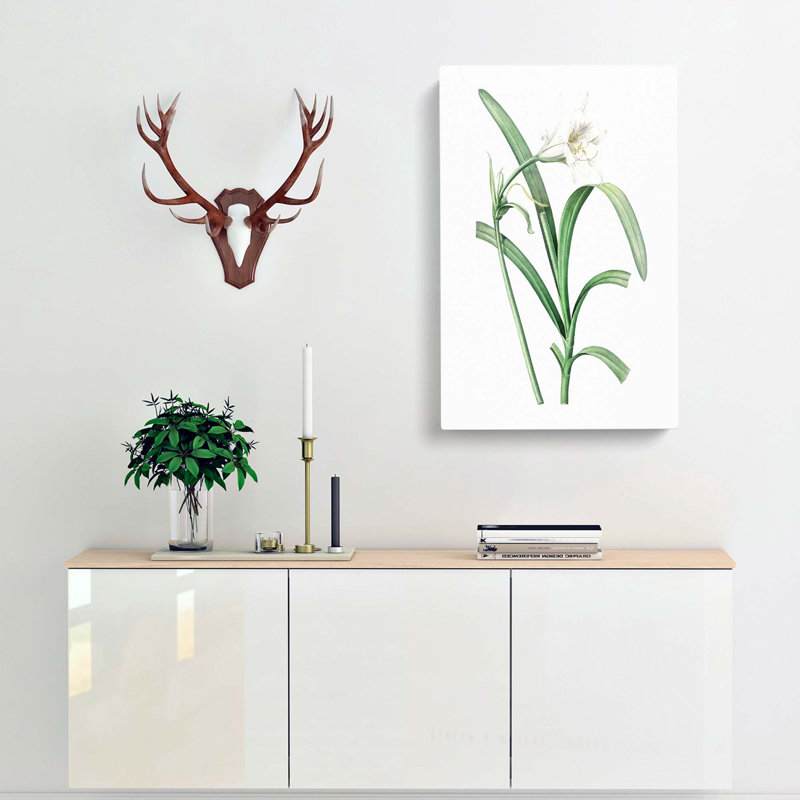 Peruvian Daffodil Flower by Pierre-Joseph Redoute - Wrapped Canvas Print, 76cm H x 50cm W x 3cm D
