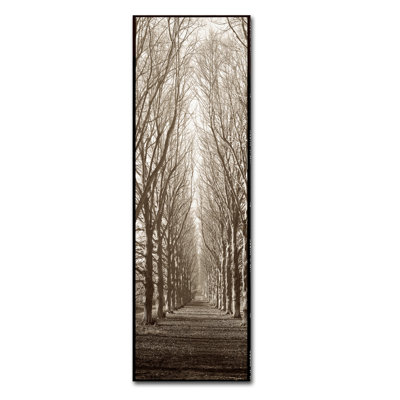 Wrapped Canvas Wall Art - Alan Blaustein 'Hampton Gates Promenade' Wall Art for Living Room, Bedroom, or Office Décor - 16X47