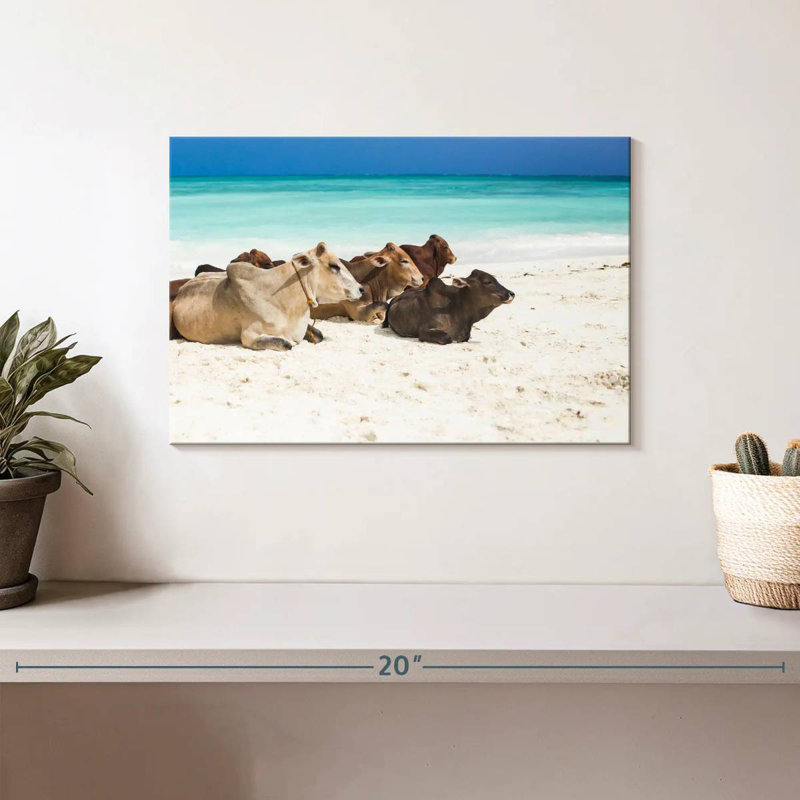 Crowle Zanzibar Beach Bétail, H 8 po x l 12 po