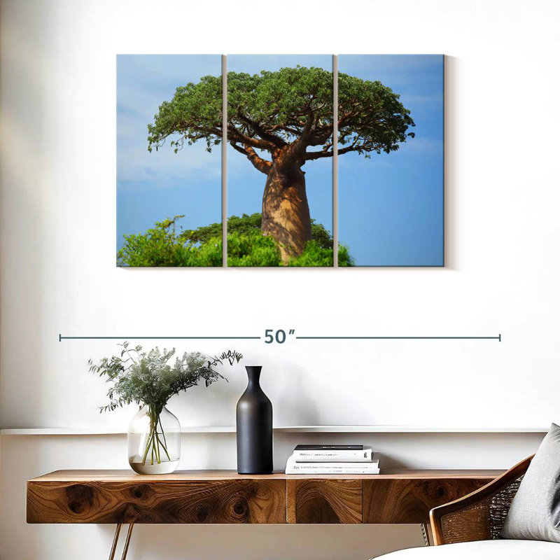 Baobab africain, H 24 po x l 38 po
