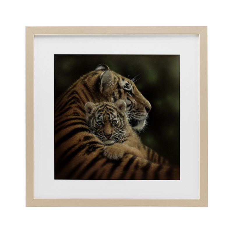 «Cheried Tiger Cub», reproduction encadrée sous verre, conception de Collin Bogle, Cadre de récolte en pin, H 16 po x l 16 po