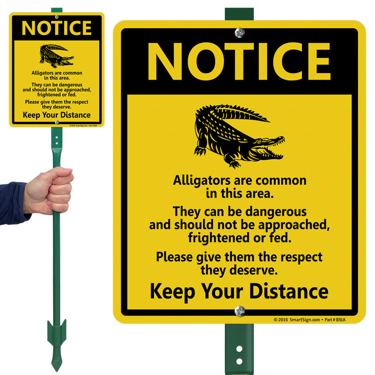 SmartSign Notice - Alligators Are Common in This Area, They Can Be