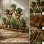 Nabilah Rayon Natural Wooden Plant Stand Indoor Outdoor Shelves with Wheels