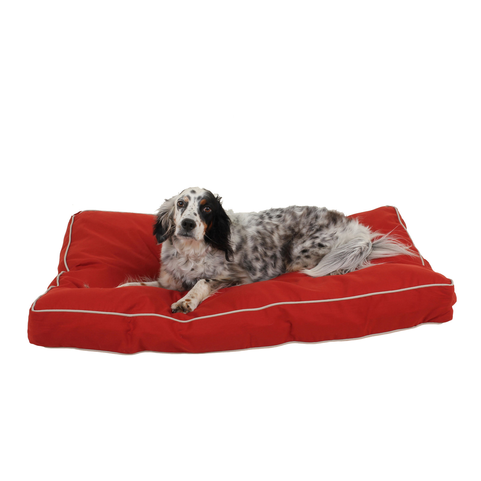 Orthopedic Foam Pet Bed with Removable Washable Cover, Medium (42" W x 30" D x 4" H), Red/Khaki