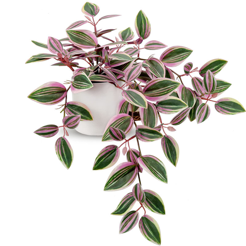 20cm Plant, Pink/Green