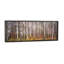 «Silver Birch Trees in a Forestnarke», reproduction de photo panoramique-49906107-49906116