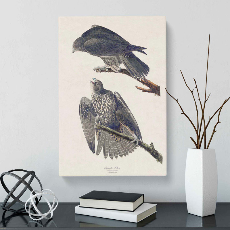 Labrador Falcons - Wrapped Canvas Print, 60cm H x 40cm W x 3cm D
