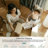 Kiner Vintage Machine Washable Area RugsPerfect for Living Room, Dining Room, Bedroom-1080408195