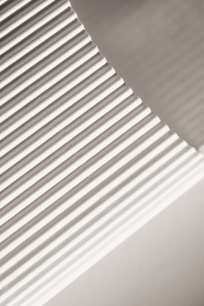 Ivy Bronx Paper Studies 7 | Wayfair.co.uk