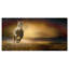 « cheval galloping through valley », reproduction de photo sur toile tendue-19238948