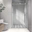 Porte de douche sans cadre brossée-127317821