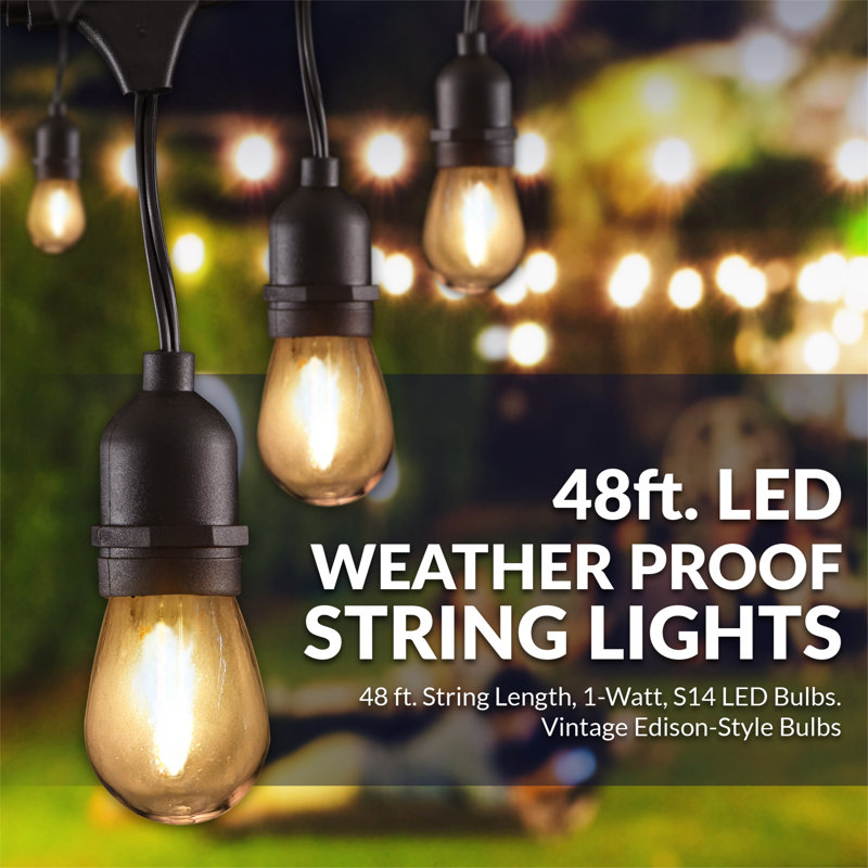 Kurt Outdoor 16 - Bulb 48'' Plug-in LED String Light