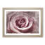 Pretty in Pink Rose Flower - Picture Frame Painting Print-56758542-56758543