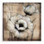 Art mural en verre acrylique «Neutral Poppies I» par Tim O'Toole-101671041