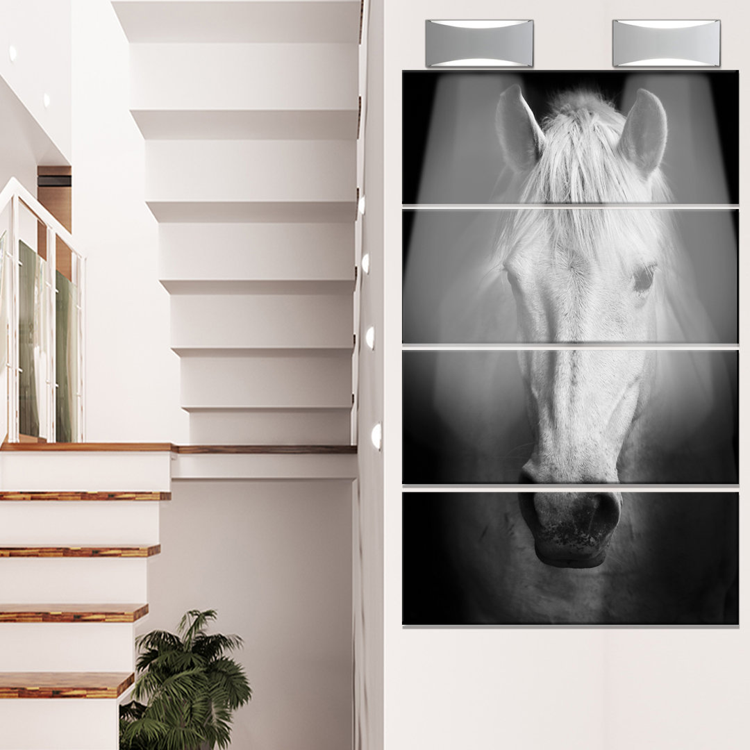 " White Horse Black And White " 4 - Pieces Design Art