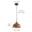 Luminaire suspendu 1 lumière DEL avec détails-1001563916
