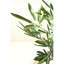 41'' Faux Eucalyptus Tree in Pot