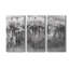 Dreamy Aspen - Photographie sur toile tendue 3 pièces-658035241