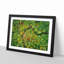 Road Through the Forest - Framed Print-56758794-56758793