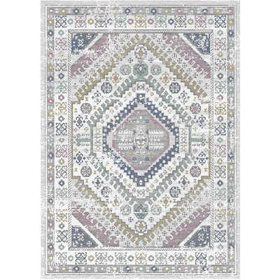 Oriental Indoor Rug