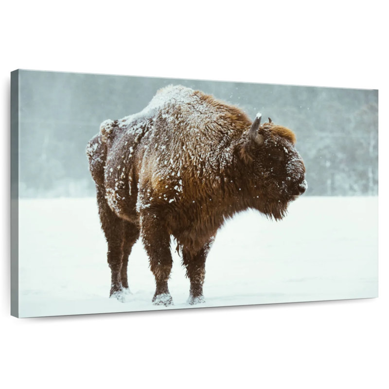 Brampt Snow Bison, 32" H x 48" W